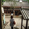 神社裡有很多不同的神社