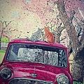 IMG_6324 IMG_6324