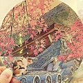 IMG_6321 IMG_6321