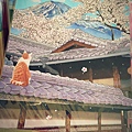 IMG_6323 IMG_6323