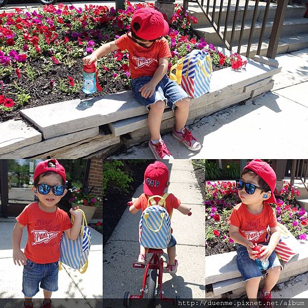 IMG_7446.JPG IMG_7446.JPG