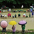 14-1106 -nhk wakayama -2015_06_1920x1080.jpg