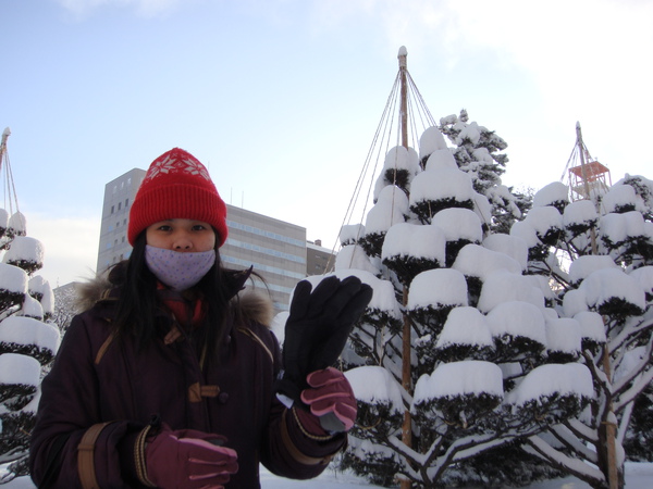 一陀陀像蛋糕的雪