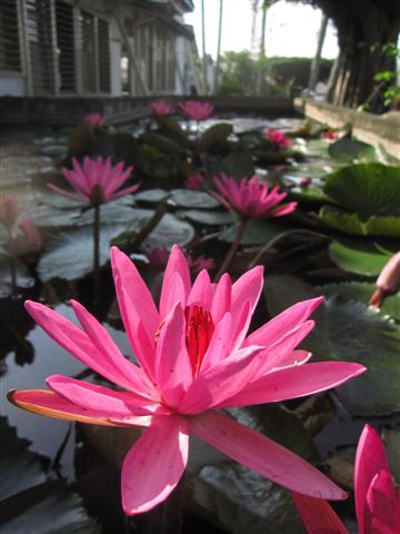照片 017 (Small).jpg 照片 017 (Small).jpg