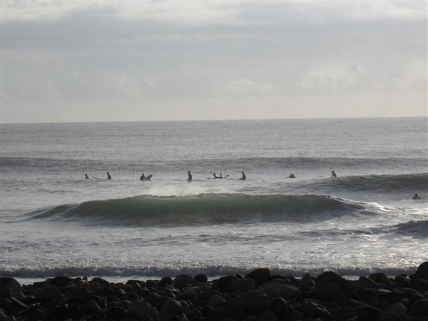 IMG_8054 (Small).JPG IMG_8054 (Small).JPG