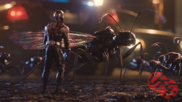 ant-man35-600x337