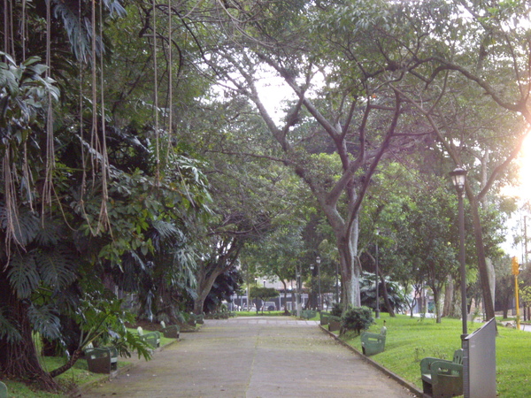 IMGP8446.JPG IMGP8446.JPG