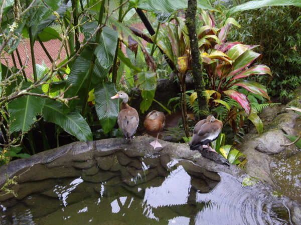 IMGP8503.JPG IMGP8503.JPG