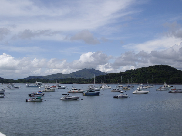 IMGP8664.JPG IMGP8664.JPG