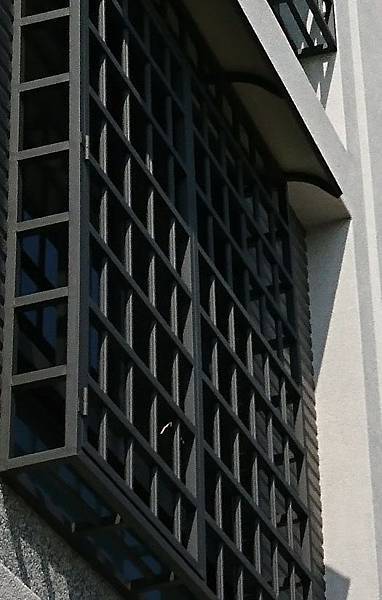 20170218_170219_0036.jpg 20170218_170219_0036.jpg