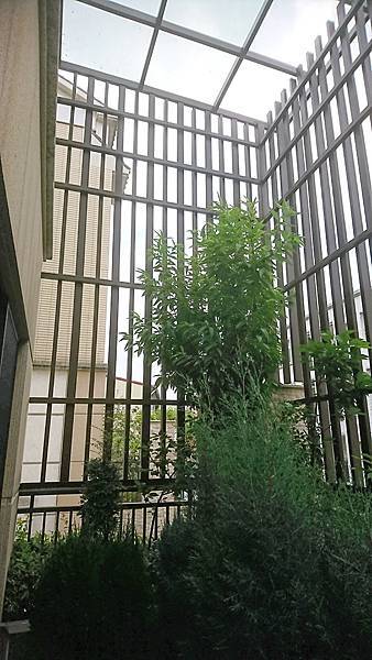 大雅後續追加照片_180507_0007.jpg 大雅後續追加照片_180507_0007.jpg
