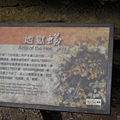 DSCN4617.jpg