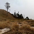 20110402543.jpg