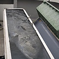 DSC_1689.jpg