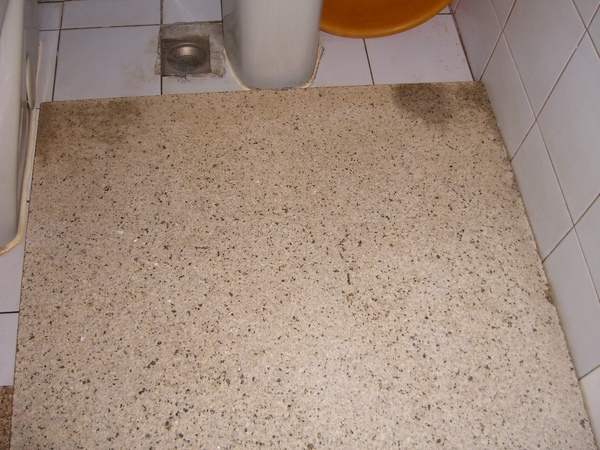 CIMG7543.JPG