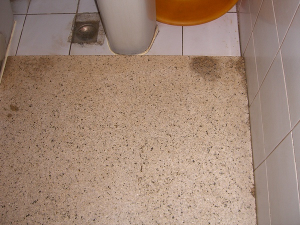 CIMG7545.JPG