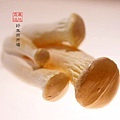 9 長野-信州蘑菇[エリンギ2].JPG