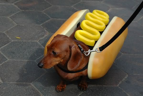 HOTDOG.jpg