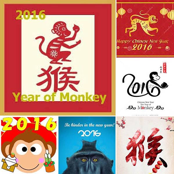 2016 Year of Monkey (2)