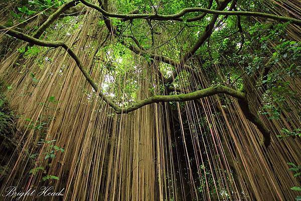 1383215_732624243418675_937378145_n.jpg 1383215_732624243418675_937378145_n.jpg