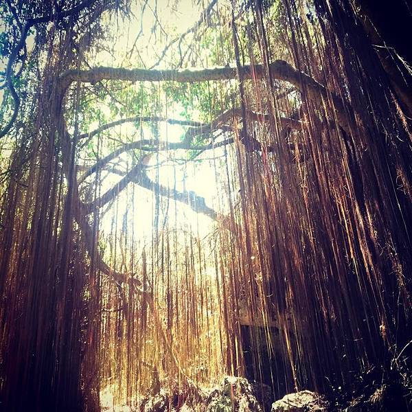 11130189_941527772547071_5959925917994105912_n.jpg 11130189_941527772547071_5959925917994105912_n.jpg