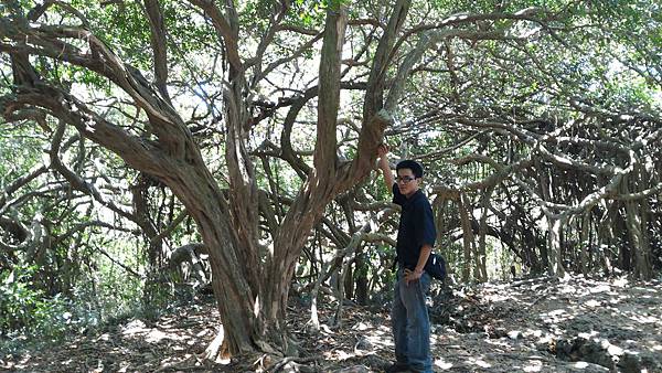 P_20150404_112501.jpg P_20150404_112501.jpg