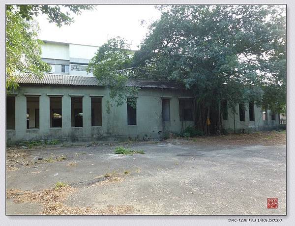 10361466_家徒四壁的老屋與樹