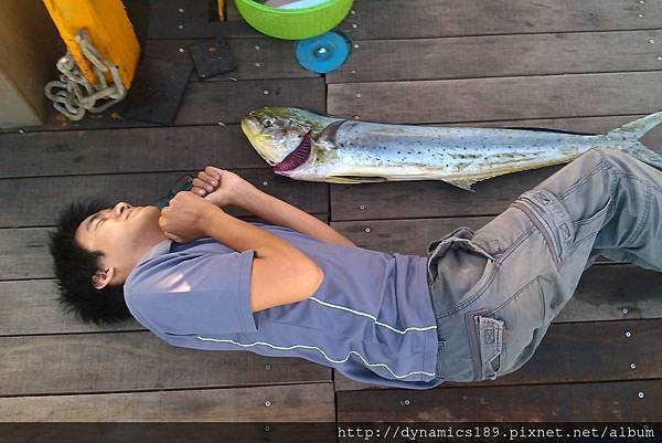鬼頭刀,我要立志當死魚! 鬼頭刀,我要立志當死魚!