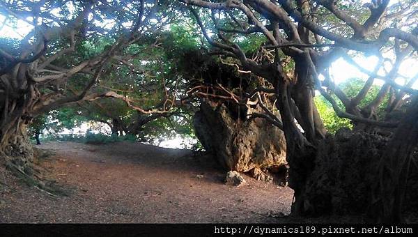 往小自然的轉角 往小自然的轉角