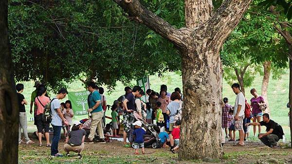 樹與活動遠照+ 樹與活動遠照+