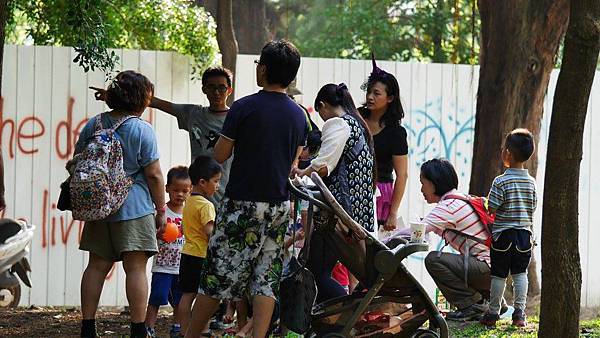 離吧前救老樹 離吧前救老樹