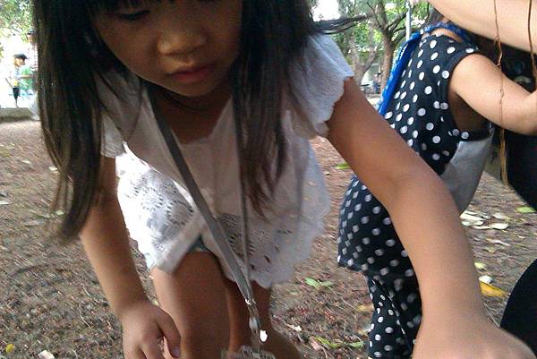 妹妹非常認真的在救老樹 妹妹非常認真的在救老樹