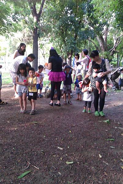 救老樹五連拍1 救老樹五連拍1