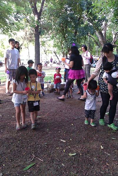 救老樹五連拍2 救老樹五連拍2