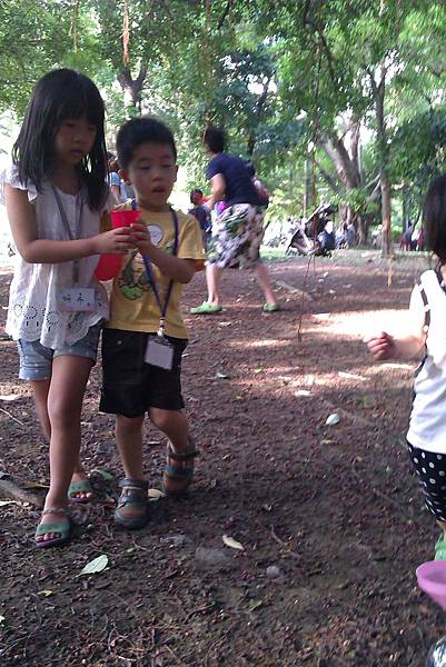 救老樹五連拍3 救老樹五連拍3