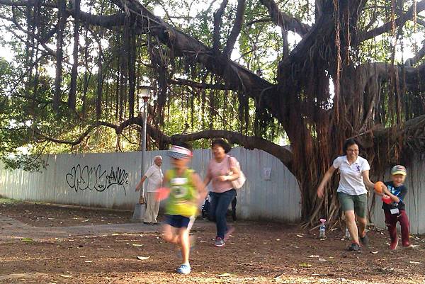 這組超級拼,拍沒幾張就結束了1 這組超級拼,拍沒幾張就結束了1