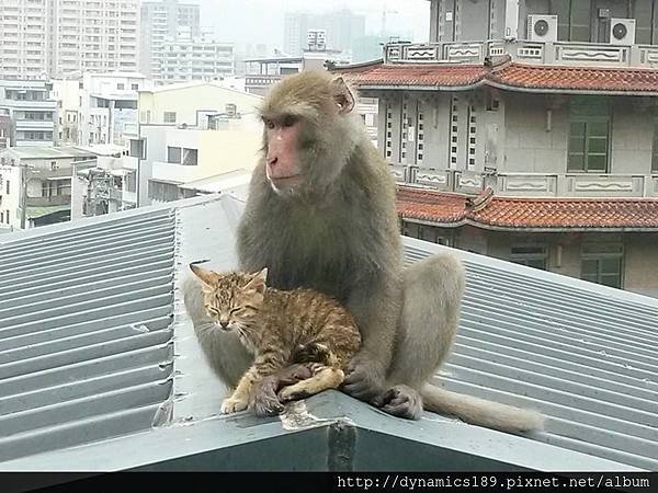 柴山破四弟 柴山破四弟