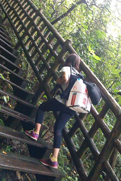 IMAG1455_不怕山高,直攻雅座!.jpg IMAG1455_不怕山高,直攻雅座!.jpg