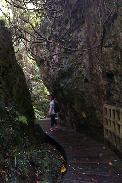 泰國谷後方2 泰國谷後方2