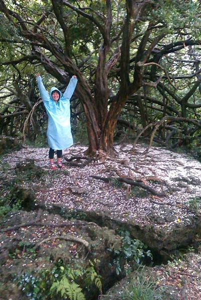 下雨囉囉囉囉 下雨囉囉囉囉