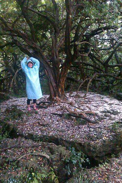 瑜珊妳怎麼了@A@ 瑜珊妳怎麼了@A@