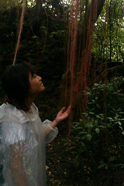 伸手可及的夢 伸手可及的夢