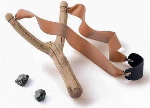 又看到有人拿彈弓打猴子...