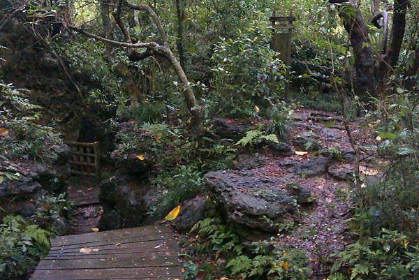 泰國谷入口,別再走過頭啦!