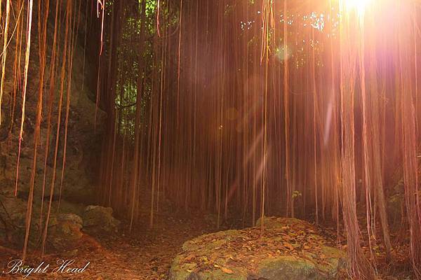 一簾幽夢,曙光。 一簾幽夢,曙光。