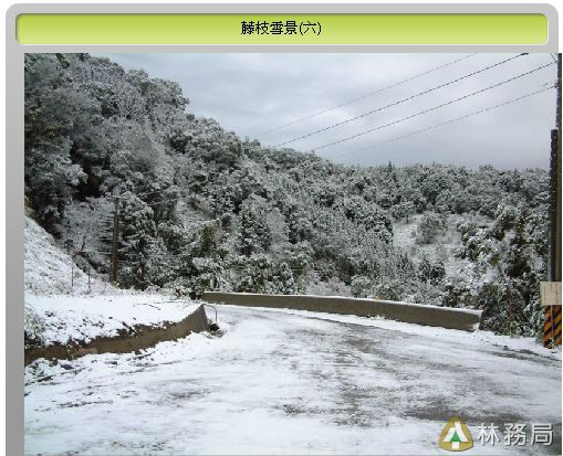 林務局_藤枝1.JPG 林務局_藤枝1.JPG