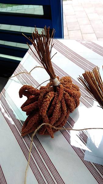 P_20161214_081932_小米1+.jpg P_20161214_081932_小米1+.jpg