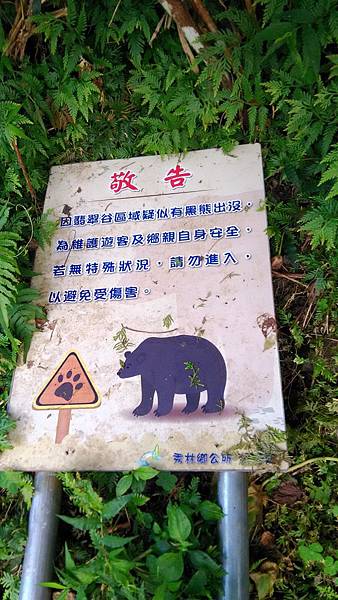 P_20161214_083504_有熊出沒注意_看來是走對路了+.jpg P_20161214_083504_有熊出沒注意_看來是走對路了+.jpg