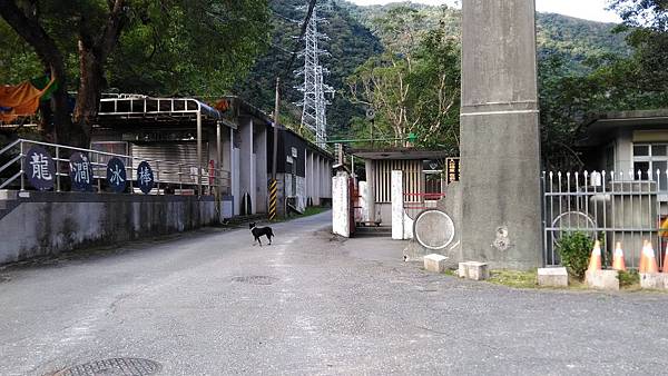 P_20161214_090117_入山檢查站_可是沒人_沒拍到正面+.jpg P_20161214_090117_入山檢查站_可是沒人_沒拍到正面+.jpg