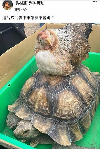 北野寄-騎蘇卡達象龜.jpg 北野寄-騎蘇卡達象龜.jpg